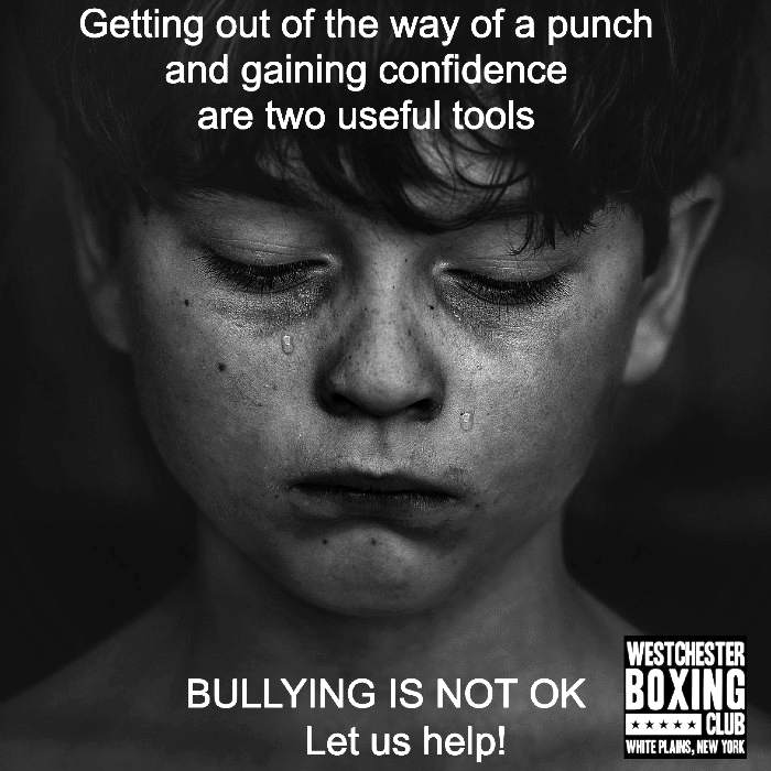 Anti-bullying poster from the club: Getting out of the way of a punch and gaining confidence are two useful tools. Bullying is not OK. Let us help.