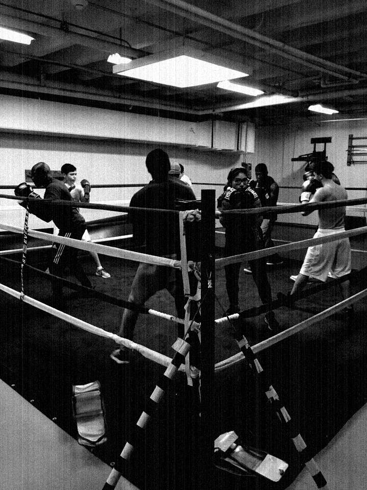 Boxing memorabilia on the museum wall at the club